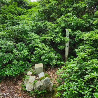 最後は表山⛰️

ここもダイブ🛫封じられてる💧
恐るべし養老😨