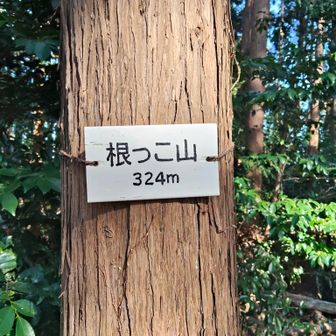 根っこ山は名札だけ