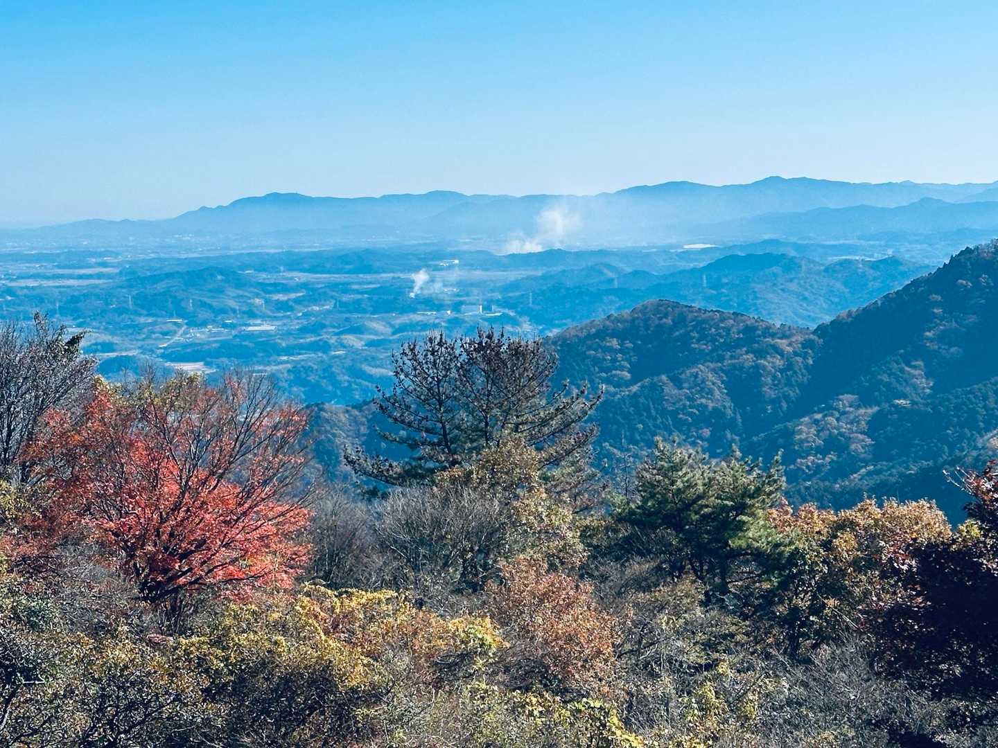 雲母谷の高-堀坂山-堀坂峠-堀坂峠の高-観音岳 周回コースの写真