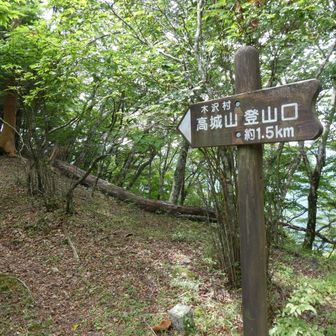 高城山へ