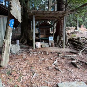 ここまで50分で来たいんだけど💦55分かかった