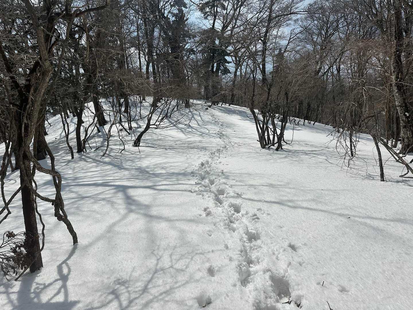 先は長い