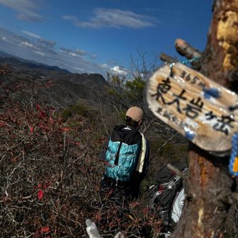 からの東大岩ヶ岳