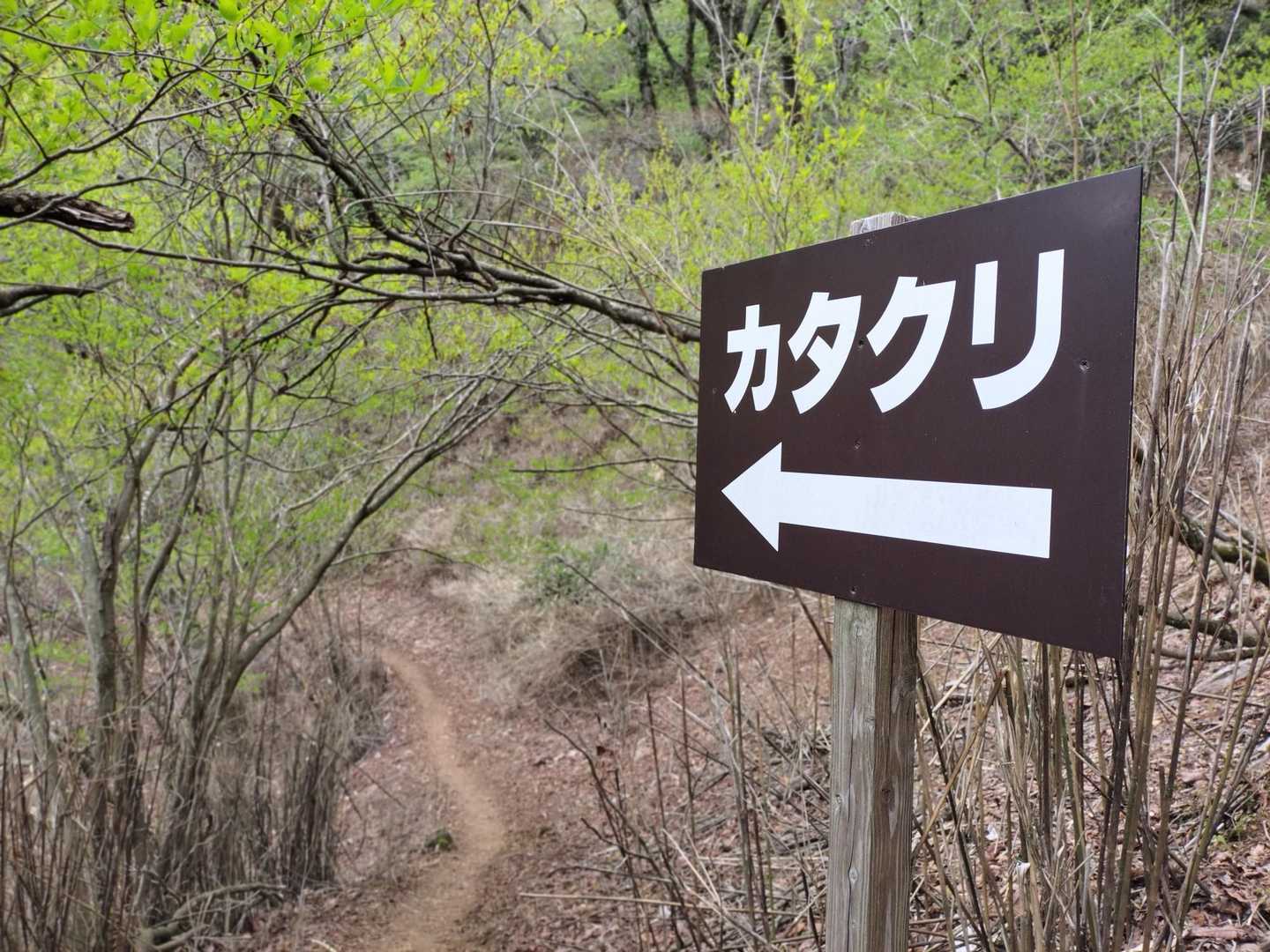 分かりやすい案内板😁