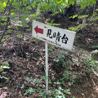 🐻‍がいないかビビりながら進む
