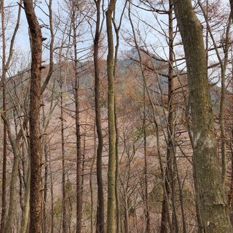笠山を振り返る。また来るね。