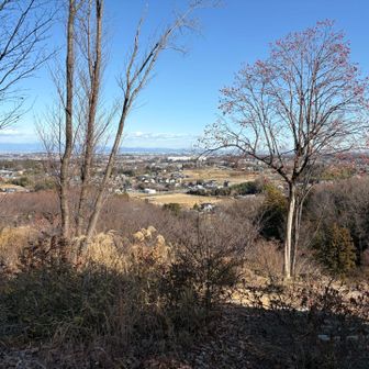 堂の入山まで戻ってきた。