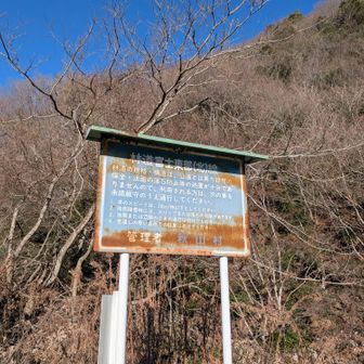 さぁ、林道から行きますよ