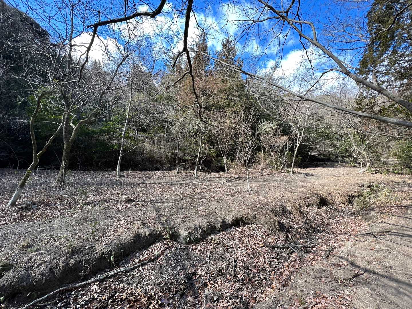 キャンプ場かと思った🤣