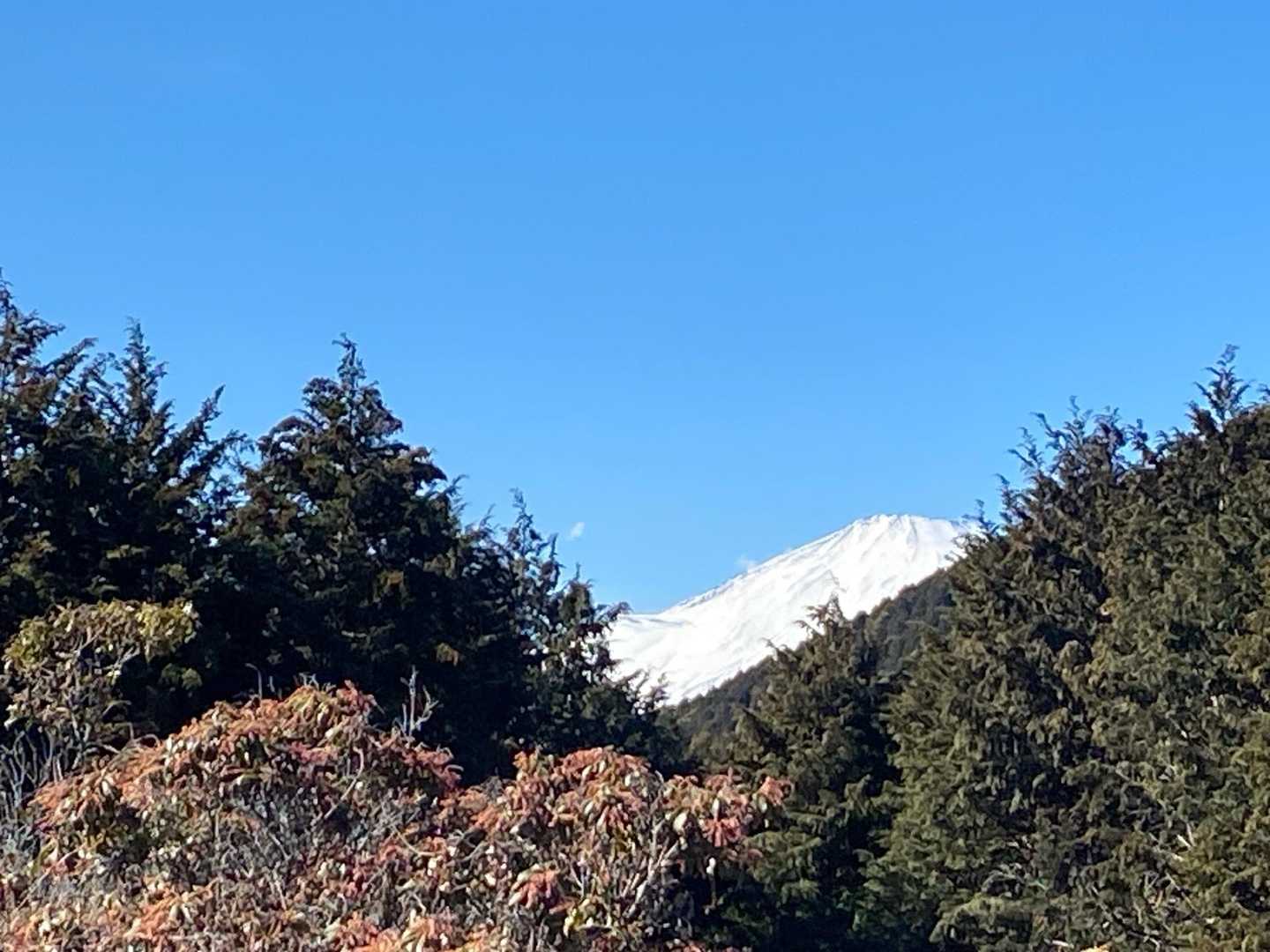 寄バス停-シダンゴ山 往復コースの写真