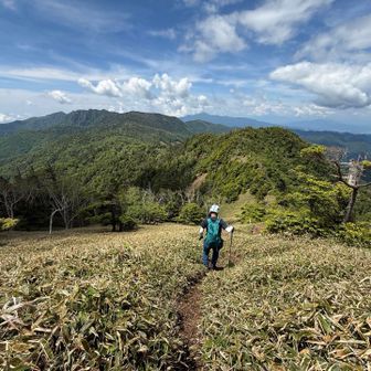 最初は景色の良い登山道だったが・・・。