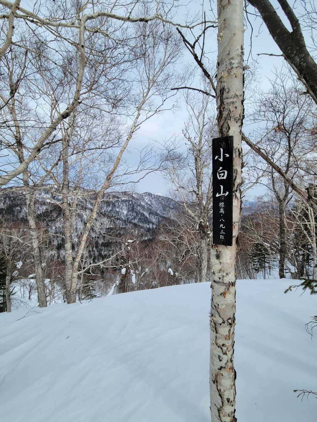 ついた！