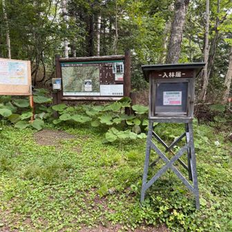 12時間もかけて、無事戻ってきました。
19キロは、一応これまでの最長記録です。
オプタテ日帰りができて、最高に嬉しい。
結果的に、曇りだったのが涼しくて、バテなくて良かったです。