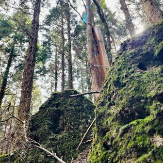 帰りしなにワンピーク⛰️をとりに
グレー🩶ピーチ🍑？？
違いました🐢🤣グレーピークで締めました！