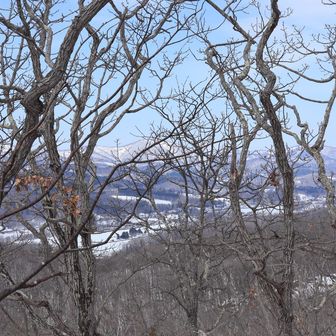 先日歩いた「冬路山」もチラリと見える…はず