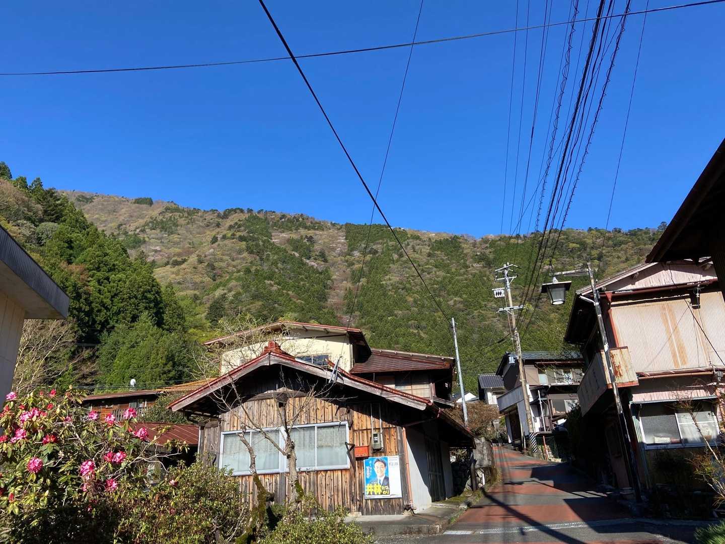 朝から雲一つない快晴🌞