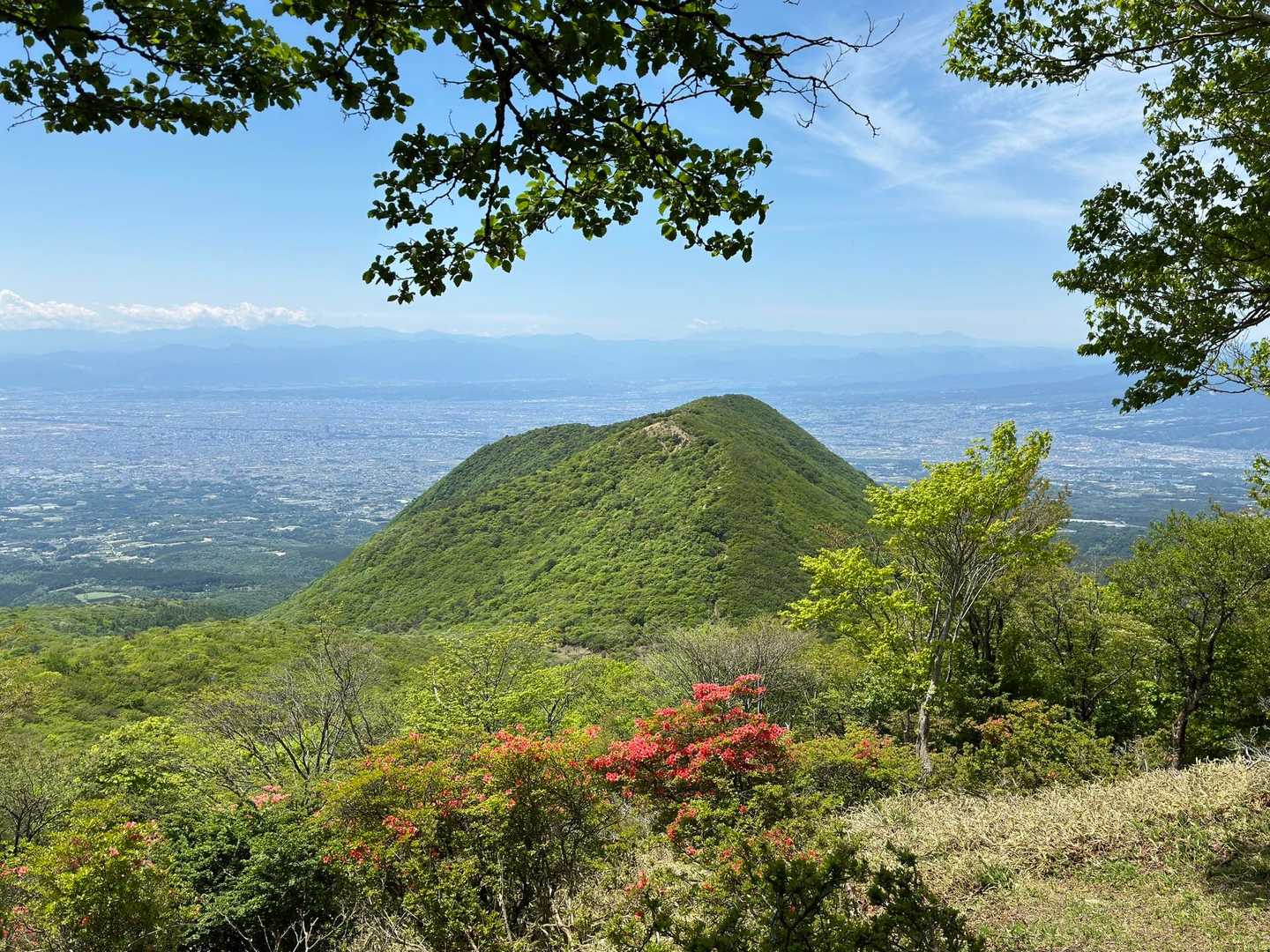荒山・鍋割山周回 | 満開のツツジのトンネルを抜け、大パノラマの稜線歩きへの写真