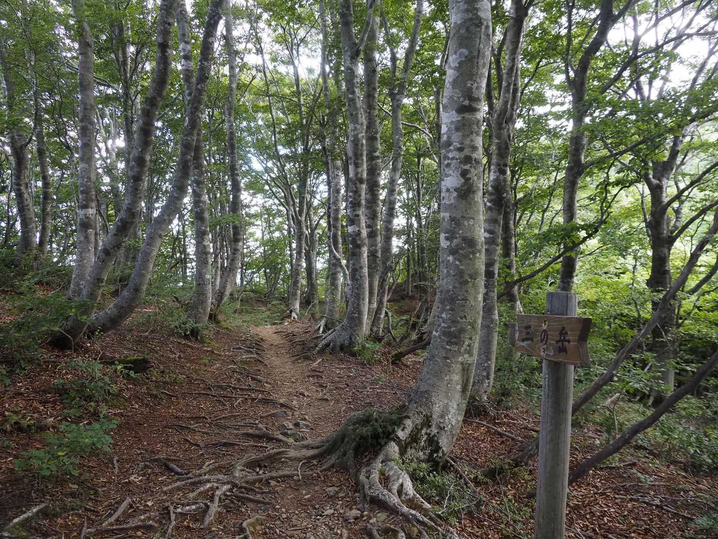 三の岳