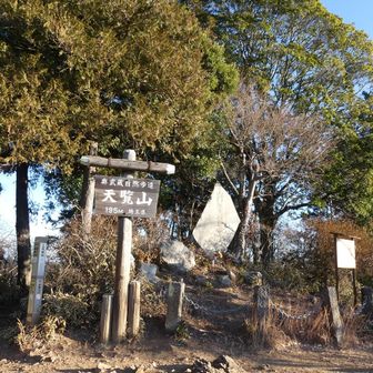 天覧山　到達