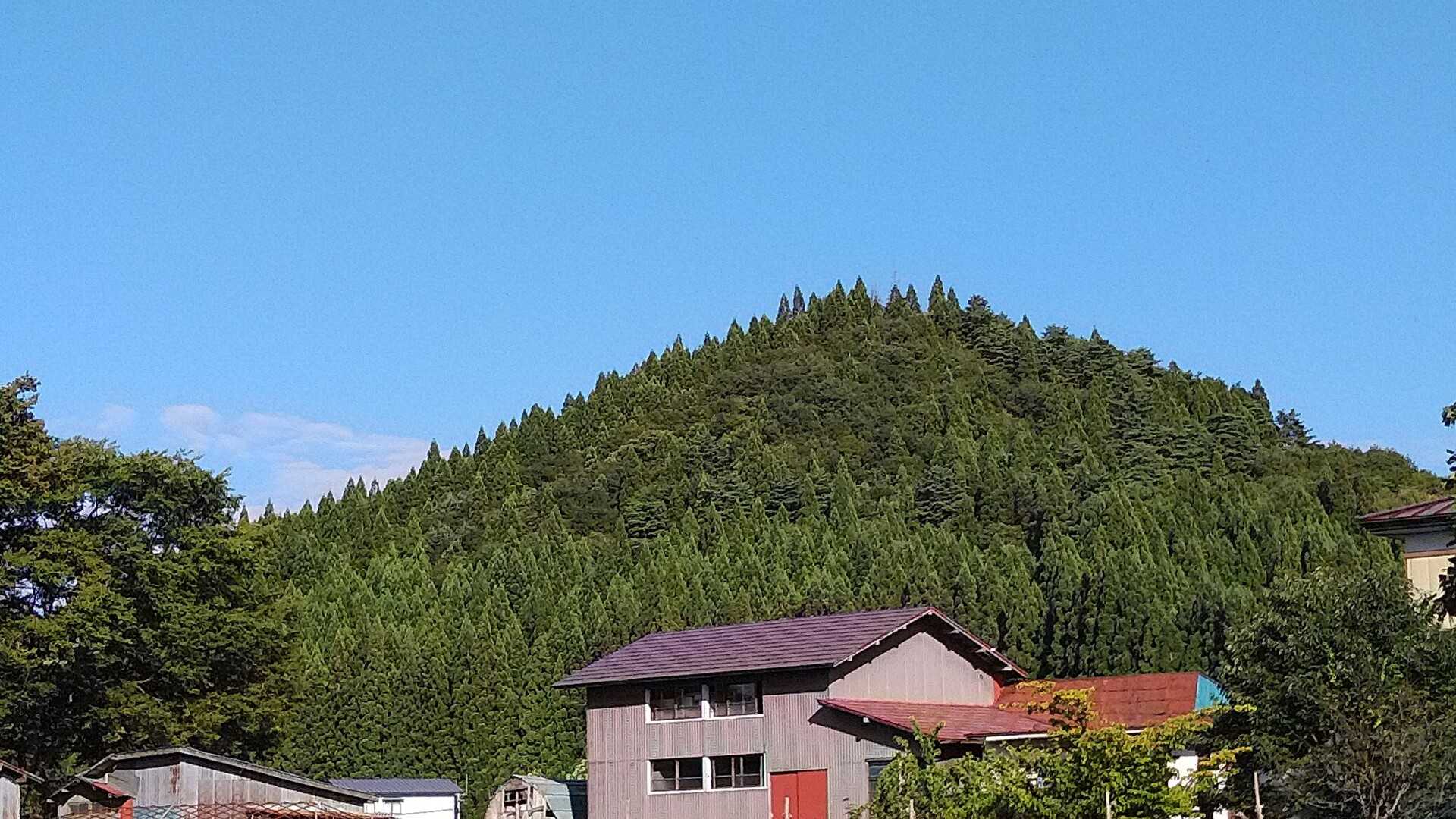 黒又山の写真