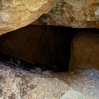なんも見えません💦
あんまり先に行くと怖いからやめました。