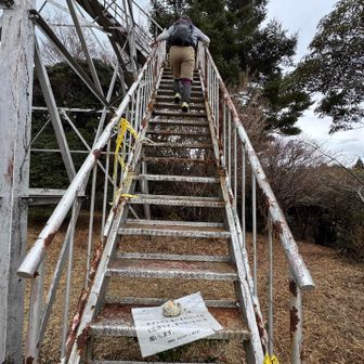 いったらダメ？