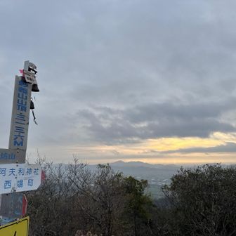 野鳥が近くにいたのにスマホ出したら逃げられた💦