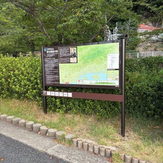 ここから始まる六甲全山縦走路。
確かに記憶にありません。
初めて来る場所です。