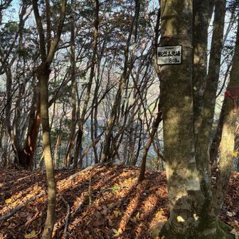 飯盛山北峰８０９ｍに到着しました。岩の多い尾根に先が思いやられますが、この山頂手前の崖登りがもっとも厳しいです。
