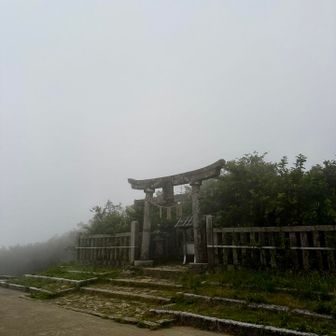 山頂も真っ白🌬️
でもお礼参りができてよかった☺️
気をつけて下山しました👣⸒⸒下りは風が冷んやりして秋を感じました🍁🍂