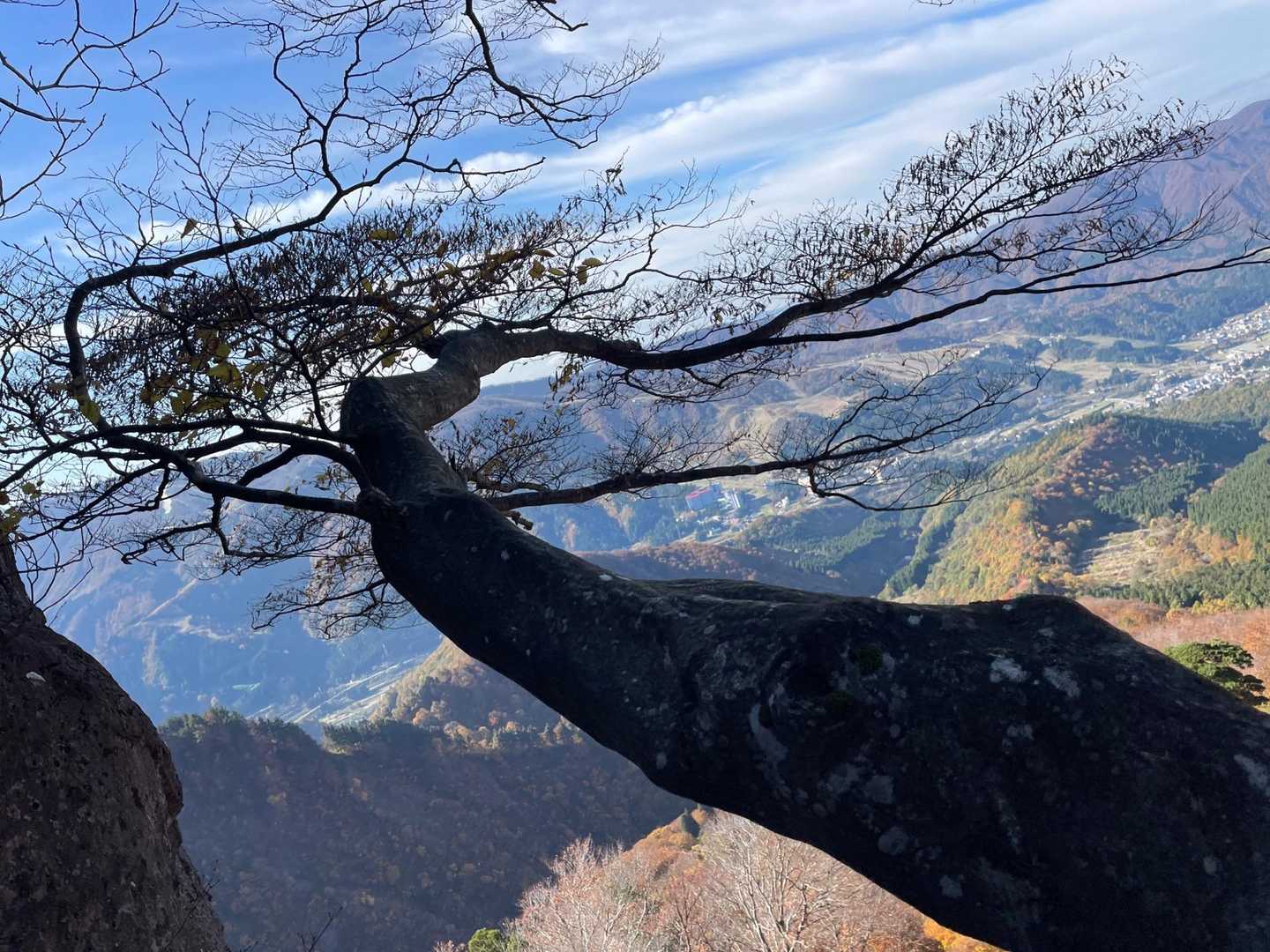 　　　振り返って　木の枝入れてみた👍
