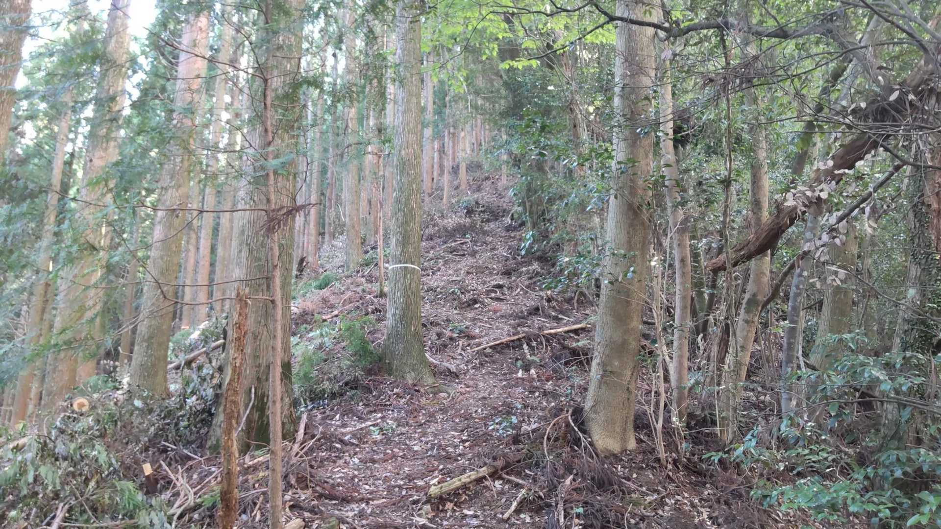 急登ですが、伝わらず🤣