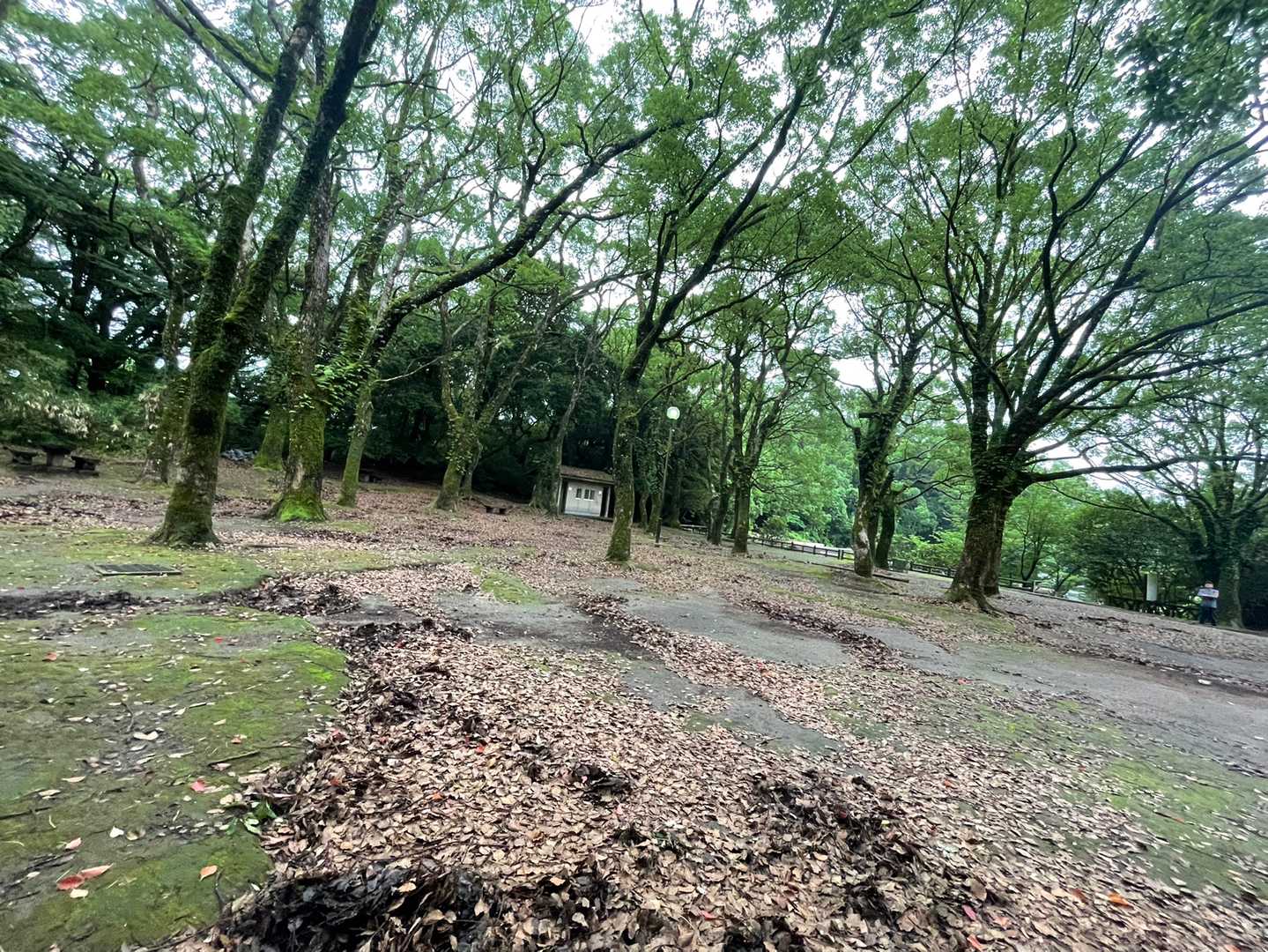 『ドン広場』
薩南戦争では、薩摩軍の本陣だった場所❗️
明治〜昭和の初め、12時の時報を知らせるため、空砲を撃っていた場所らしい。