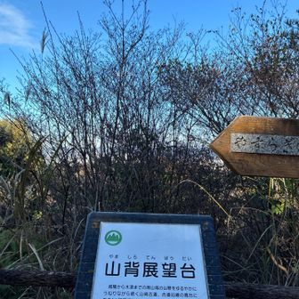 鴻ノ巣山⛰️山頂