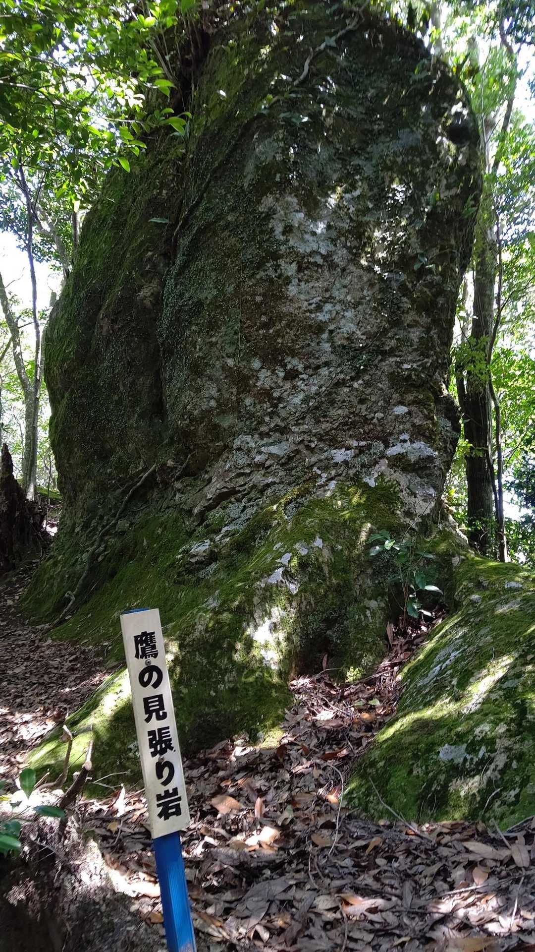 南側登山口-鷹ノ子岳 往復コースの写真