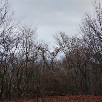 ③　冬景色（鉾取山）