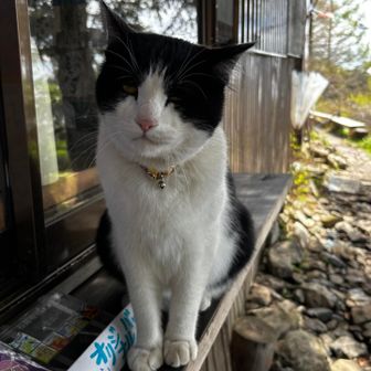 みつゆびたててご挨拶🐈‍⬛
もうひとかたは？お名前聞くの忘れた😣