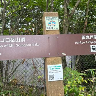 芦屋川に向かって下山します。