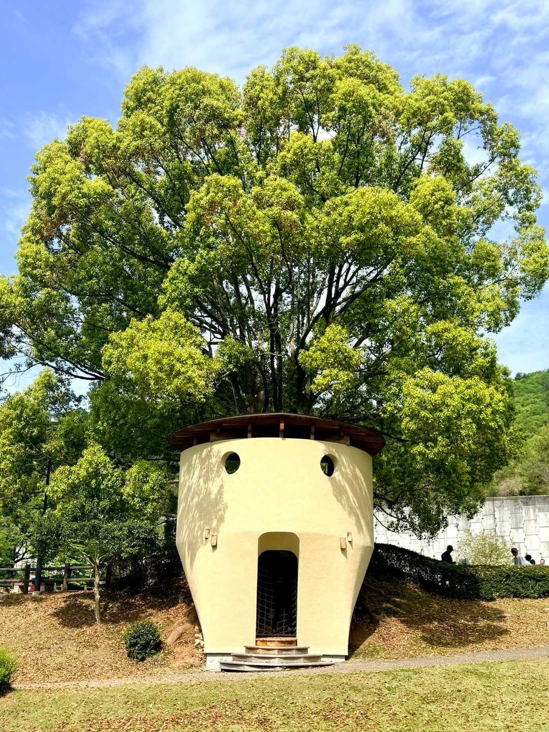 山楠公園に戻ってきました👍
ふれあい芝生広場にはクースの家が😮
どう見ても、アフロくんにしか見えない🤣