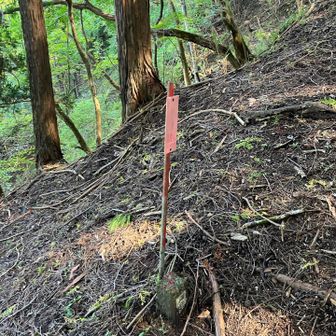 峰坂峠の表記見当たらず。近辺にあったのはこれのみ。