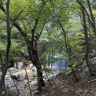水が綺麗