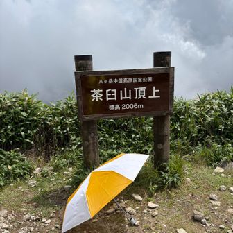 茶臼で日傘を初披露w