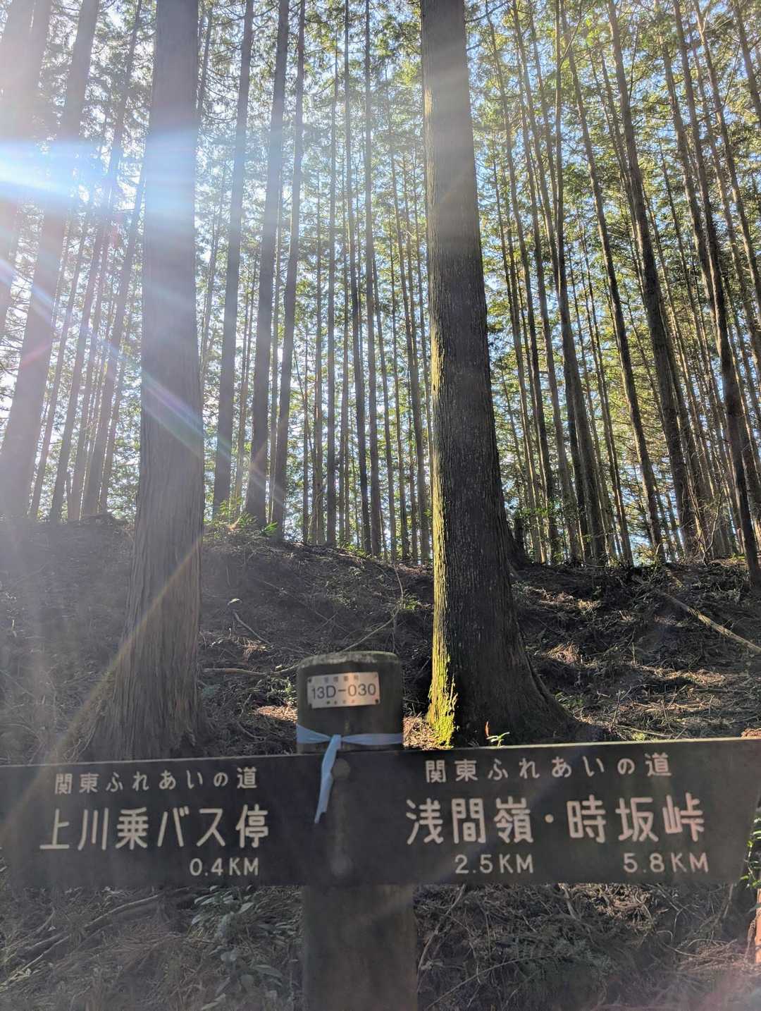 林道に入ってきました
木漏れ日を浴びながら気持ちよく歩いて行きましょ🚶