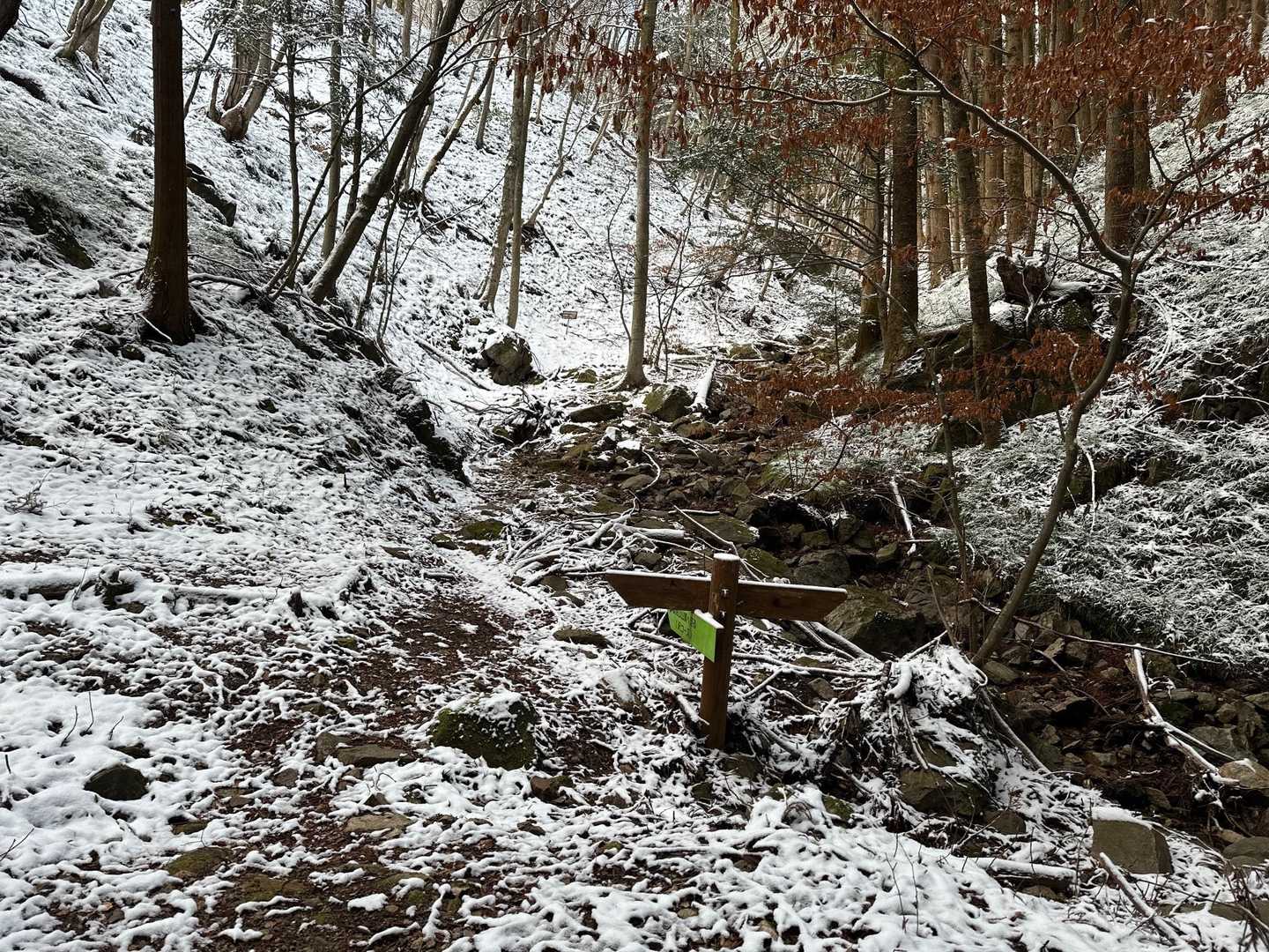 沢コース登ります