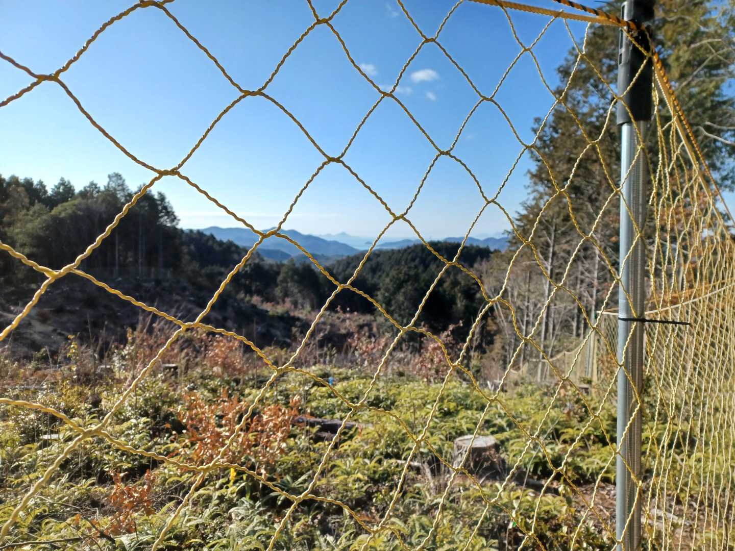 光明山（兵庫県たつの市）の写真