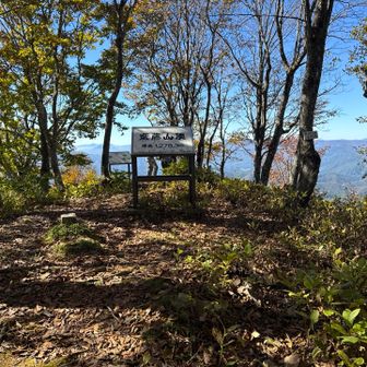 ここが山頂