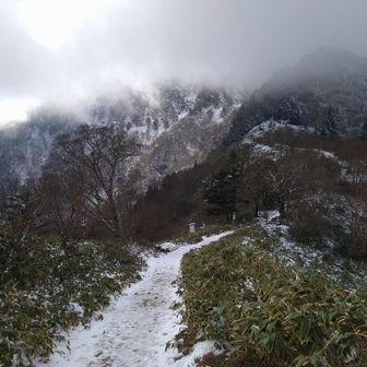 いい感じに青空にはなってくれそうもない😓
