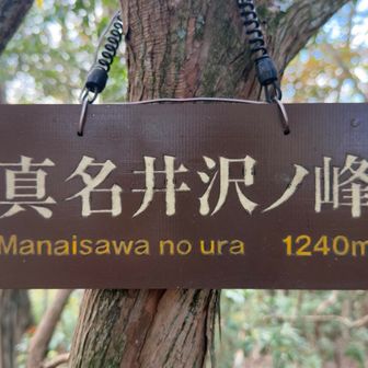 真名井沢ノ峰登頂1240m
“まないさわのうら”