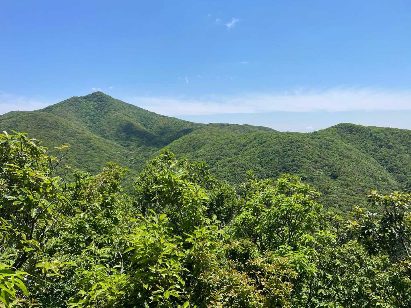 金山の姿が美しいです
