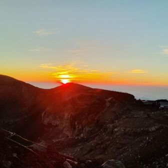 咲く咲く会いたし